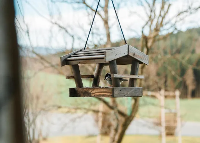 Im Bayerischen Wald Hébergement de vacances *