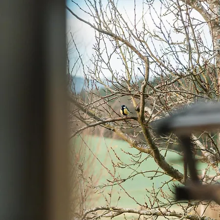 Prázdninový dům Im Bayerischen Wald *