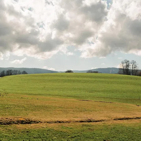 Im Bayerischen Wald