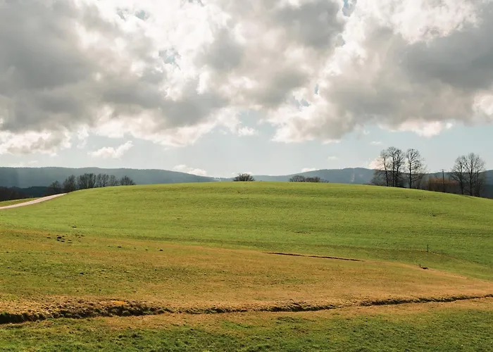 Im Bayerischen Wald Vakantiehuis Viechtach